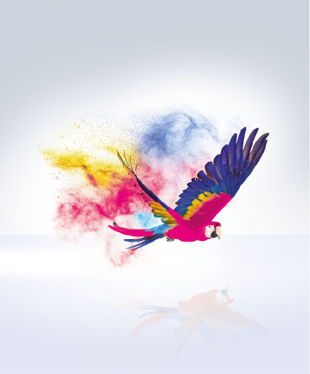 Illustration of a brightly coloured bird, created with the CMYK colour model. The picture demonstrates the precision and colour brilliancy that can be achieved using this printing technology.