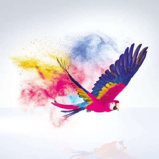 Illustration of a brightly coloured bird, created with the CMYK colour model. The picture demonstrates the precision and colour brilliancy that can be achieved using this printing technology.